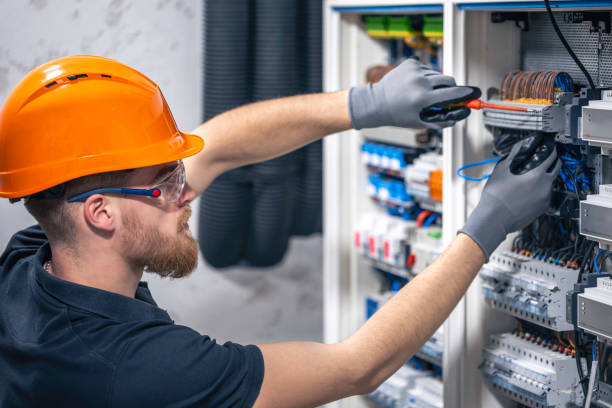 Best Electric Panel Repair  in Lenoir City, TN